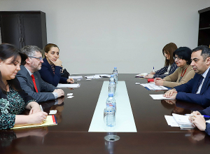 ՀՀ ԱԳ նախարարի տեղակալը հանդիպել է ՄԱԿ հատուկ զեկուցողի հետ