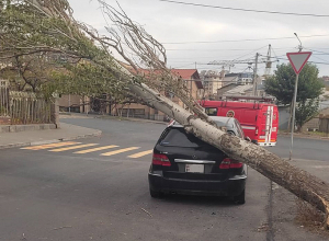 Քամու հետևանքով ծառը շրջվել է կայանած ավտոմեքենայի վրա և հենվել էլեկտրական լարերին