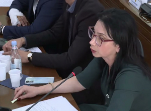 Ո՞վ եք դուք, կյանքում փող աշխատած կա՞ք