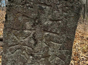 Անտառում խաչքարեր են հայտնաբերել