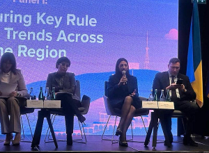 Մարդու իրավունքների պաշտպան Անահիտ Մանասյանը Վրաստանում է