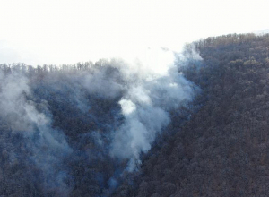 «Դիլիջան ազգային պարկ»-ում հրդեհաշիջման աշխատանքները շարունակվում են