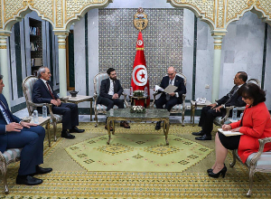 ՀՀ ԱԳ նախարարի տեղակալի հանդիպումը Թունիսի արտաքին գործերի հարցերով նախարարի հետ