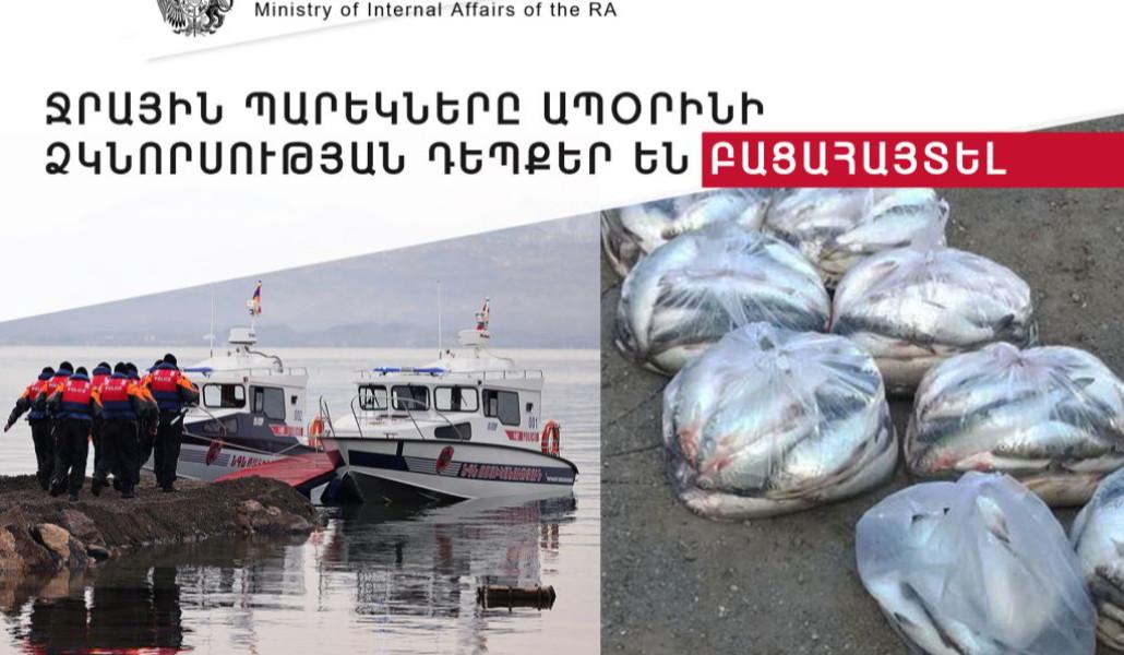 Ձկնագողություն-1024x683