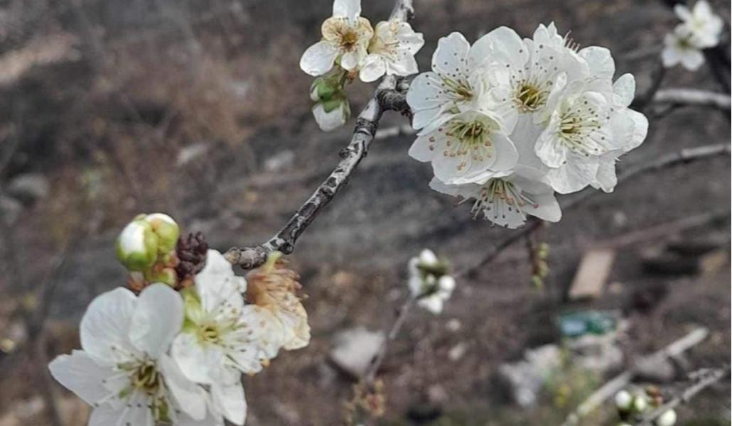 410102456_7225268470869673_1773561037860909148_n