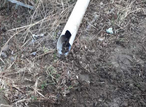 Ապօրինի ջրառ և գետի աղտոտում Գեղարքունիքում