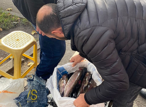 Ոստիկաններն իրականացրել են թաց սիգ տեսակի ձկան ապօրինի վաճառքի դեմ կանխարգելման աշխատանքներ