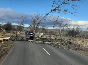 Վնասներ՝ քամու հետևանքով