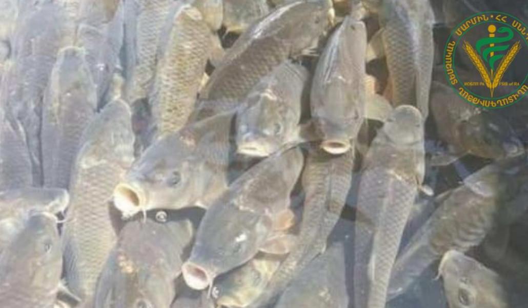 415045555_747381674092887_5135427189609507204_n