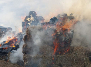 Հրդեհ Վարդենիս քաղաքում