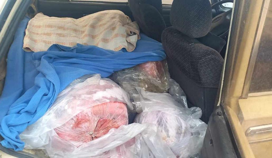 417492618_782676983889325_2372794052536618017_n