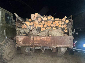 Ապօրինի ծառահատում կատարած և էկոպարեկների մեքենան ձորը գցած վարորդները ձերբակալվել են