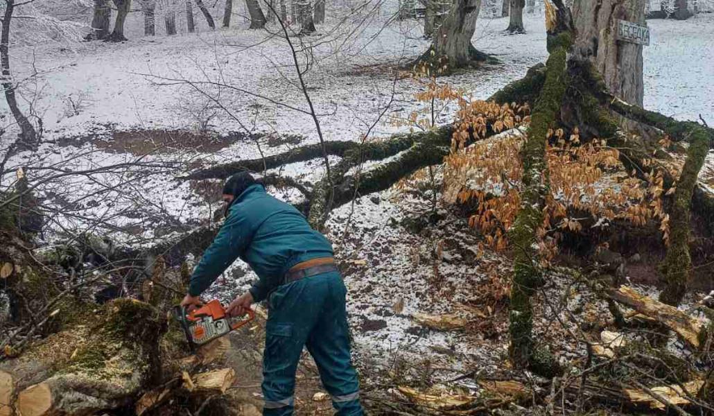 421247383_341164542212988_293208781874531867_n