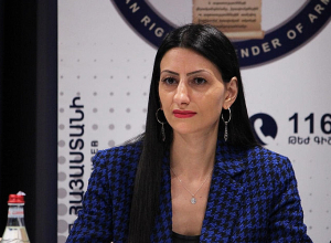 Անահիտ Մանասյանը Ժնևում ՄԱԿ-ի Մարդու իրավունքների գերագույն հանձնակատարի գրասենյակում քննարկել է ոլորտին առնչվող հարցեր