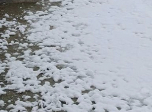 Ապօրինի 7 հորի կասեցում ձկնաբուծարաններում