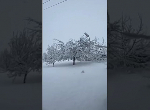 Գագիկ Սուրենյանը տեսարան է ներկայացրել «գիժ մարտից»