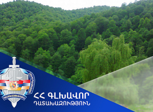 Դատախազությունը պետությանը վերադարձրեց Ծաղկաձոր համայնքում գտնվող շուրջ 20000 քմ մակերեսով անտառային տարածքը