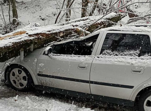 «Պարզ լիճ» տանող ավտոճանապարհին ծառը կոտրվել և ընկել է ավտոմեքենայի վրա