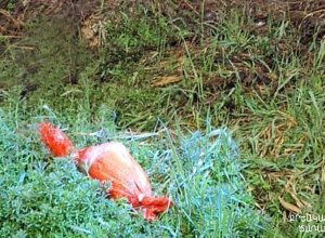 7 բջջային հեռախոս՝ ներնետված փաթեթում