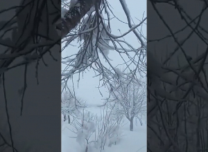 Գեղարքունիքի մարզ. այսօր