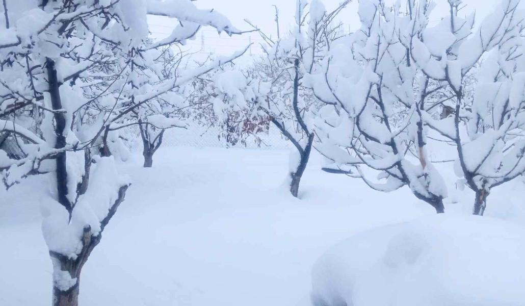 434038607_449886794058452_9203616692998922146_n