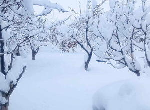 Բոլոր մարզերում տեղումների քանակը գերազանցել է ամսական նորման․ տեղումները շարունակվում են