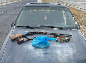 Որսագողերի զենքերն առգրավվել են