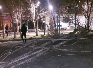 Վնասներ քամու հետևանքով