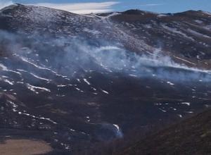 Այրվել է մոտ 100 հա խոտածածկույթ