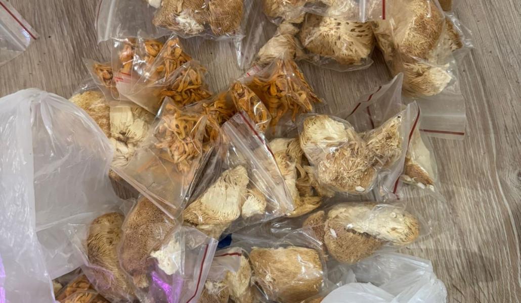 436200171_875201814409493_4034561028285765152_n