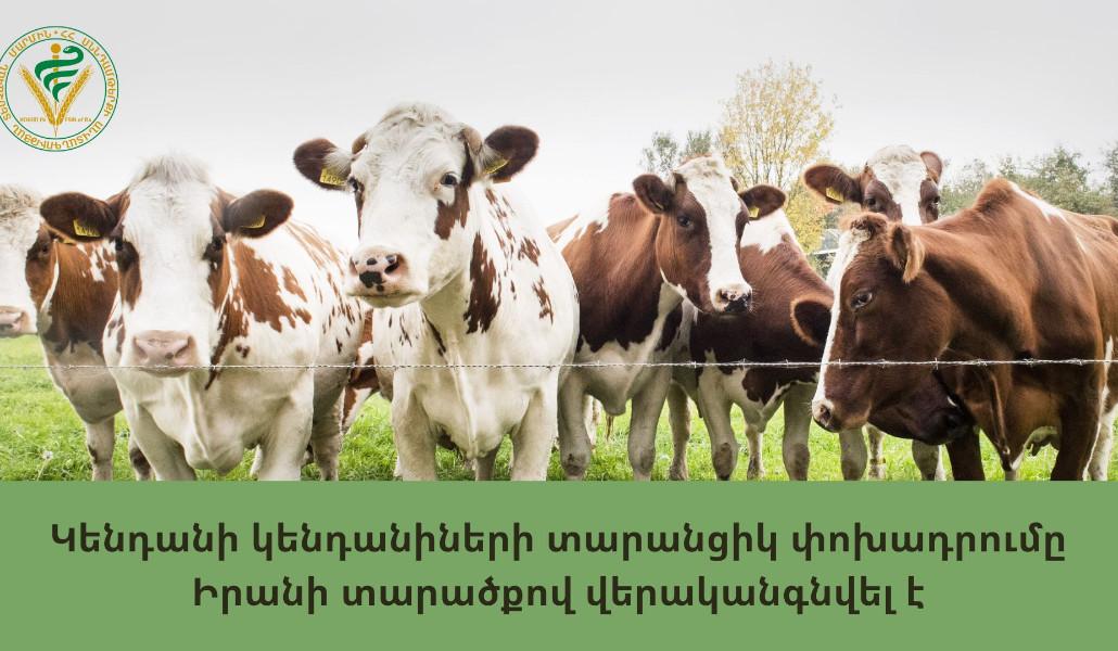 434019326_813920660772321_1393627448979782742_n