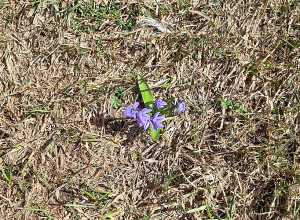Օդի ջերմաստիճանը կբարձրանա