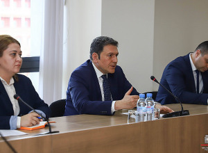 Замглавы МИД Армении и депутаты Сената Франции обсудили происходящие на Южном Кавказе процессы