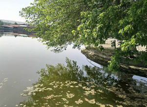 Եղանակը՝ առաջիկայում