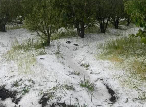 Սա ձյուն չէ, այլ կարկուտ. Գագիկ Սուրենյանը լուսանկար է հրապարակել