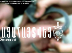 12 գողություն, 7 ձերբակալված. Դիլիջանի ոստիկանների բացահայտումը