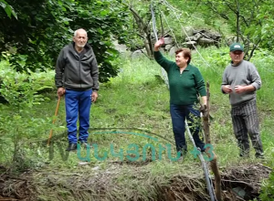 Տոտալ բլոկադայի մեջ