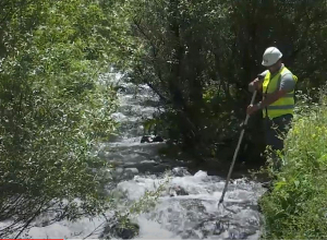 Մեկ օր բնապահպանների հետ