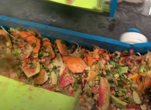 Դուբայում սննդի թափոնները վերածում են օրգանական պարարտանյութի