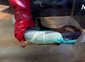 Ինչպես են մաքրում գետերը՝ օգտագործելով կտրած մազերը