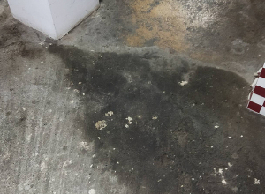 Խախտումներ «Սողոյան թոնրատուն» ՍՊԸ-ին պատկանող հանրային սննդի օբյեկտում