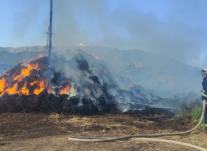 Այրվել է անասնակեր