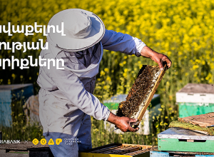 Ameriabank and COAF Pool Efforts to Develop Beekeeping in Lori Region