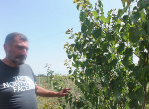 Իմ ցանկությունն ու նպատակն է, որպեսզի մեր հերոսներն այս այգում վերածնվեն․ փոխգնդապետ Սամվել Հովսեփյան