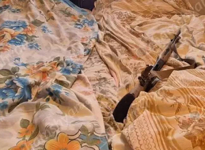 Սեփական տան ննջասենյակում տղամարդու դի է հայտնաբերվել, կողքին՝ որսորդական հրացան