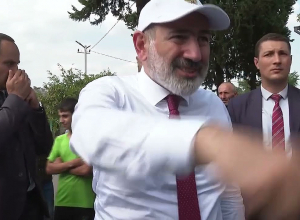 Մեր Իջեւանի մեր տան օրինակն եմ բերում, էդ չեչոտ ծառերի պատճառով հազարավոր հեկտարներ ենք կորցնում