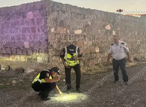 Կրակոցներ՝ Արագածոտնի մարզի Թլիկ գյուղում․ վիրավորների մեջ են վարչական ղեկավարը, նրա որդին ու մայրը