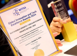 WITSA объявила победителей премии Global Innovation and Technology Achievement Awards 2024