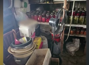 Արմավիրցի տղամարդը թմրանյութ և կանեփի բույսեր էր պահում