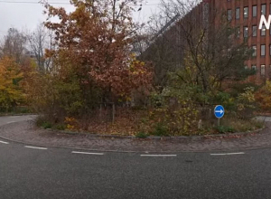 Ջրհեղեղային թունելներից մինչև սպունգային այգիներ. ինչպես է եվրոպական քաղաքը պատրաստվում